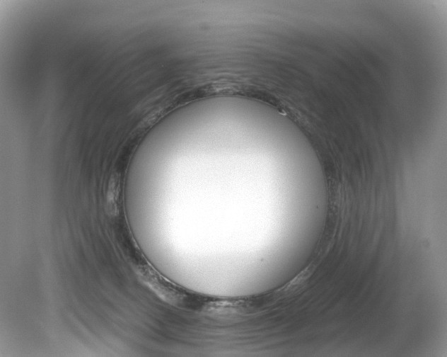 X0000080190082200612081211