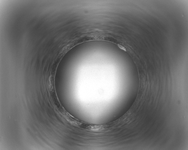 X0000080190088200612081211