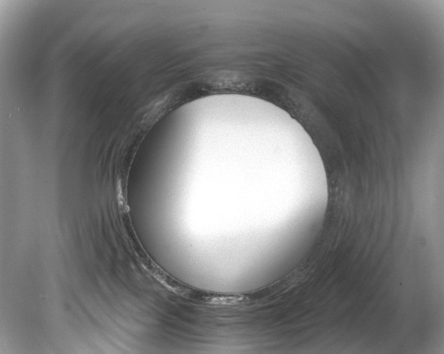 X0000080190089200612081211