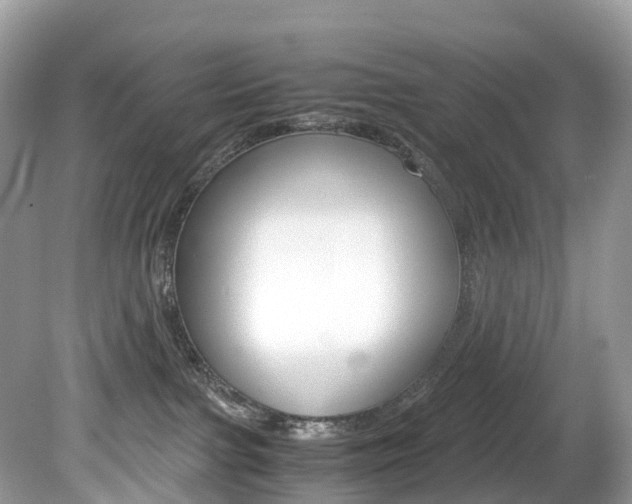 X0000080190091200612081211