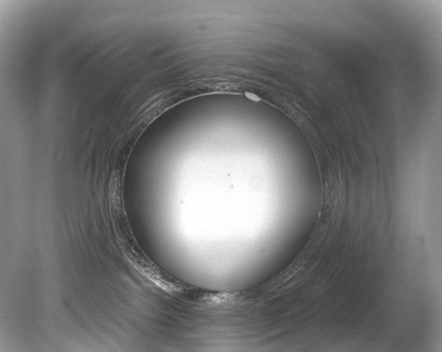 X0000080190092200612081211