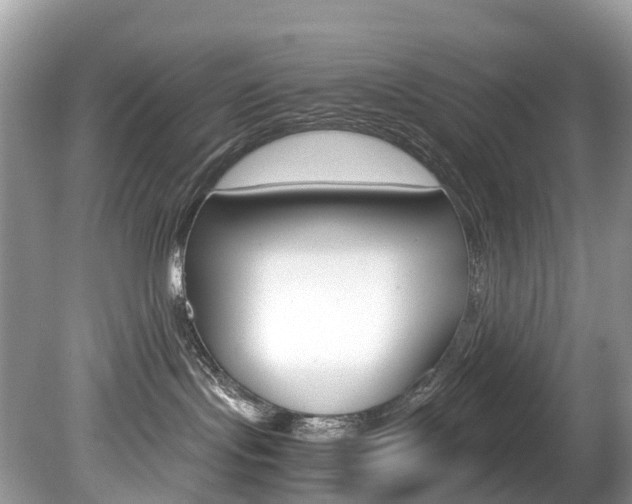 X0000080190095200612081211