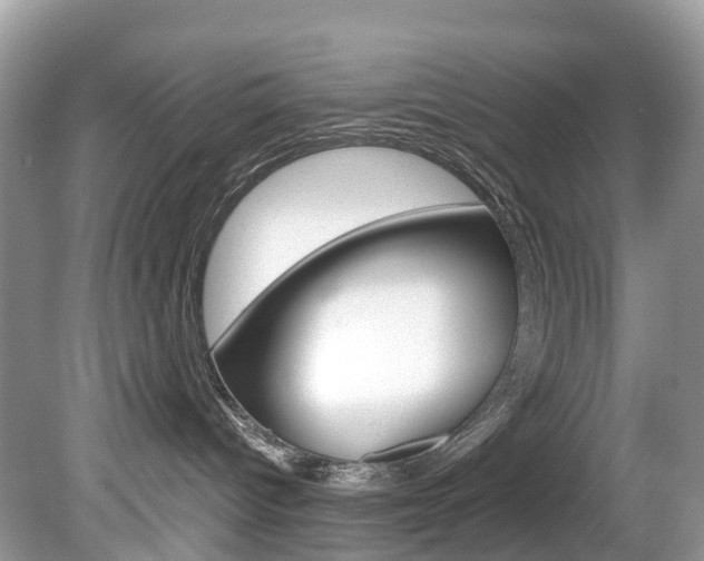 X0000080190096200612081211