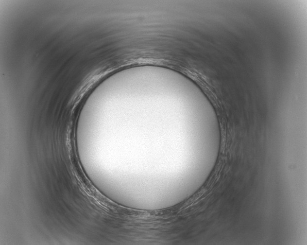 X0000080190098200612081210