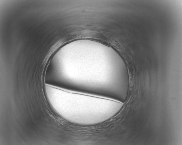 X0000080190099200612081210