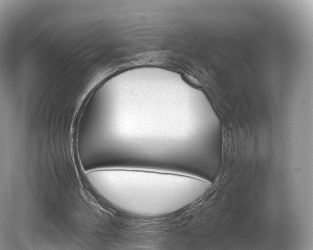 X0000080190100200612081210