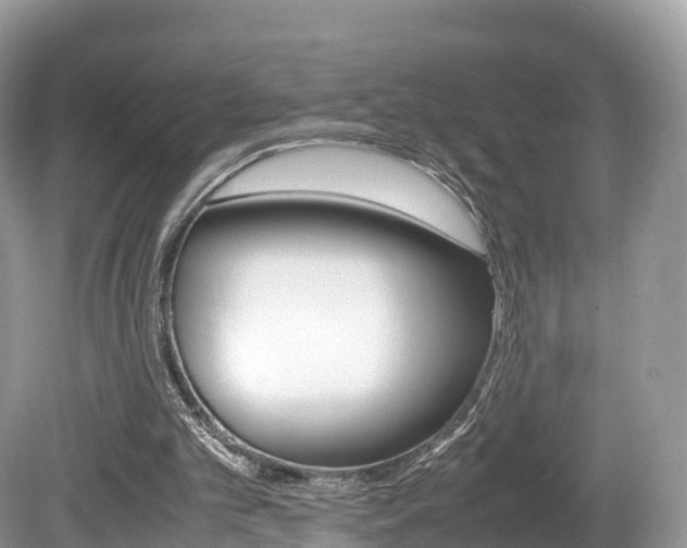X0000080190101200612081210