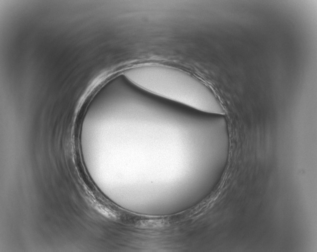 X0000080190102200612081210