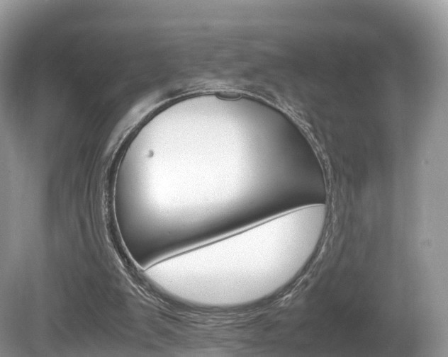 X0000080190103200612081210