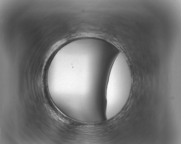 X0000080190104200612081210