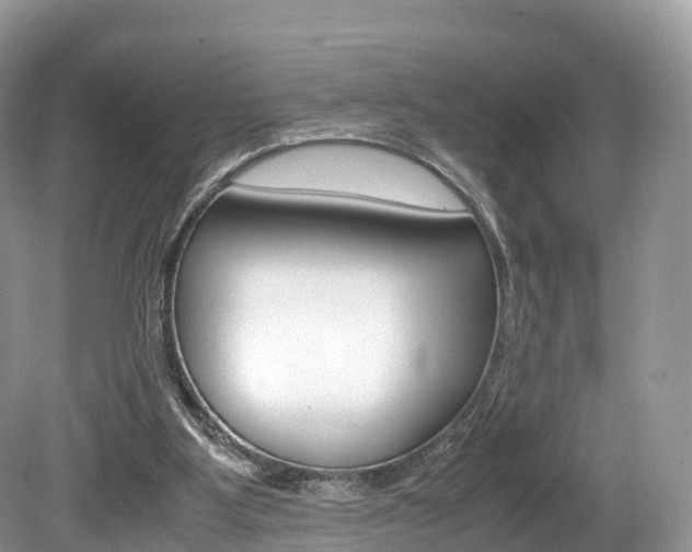 X0000080190107200612081210