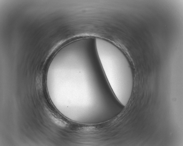 X0000080190108200612081210