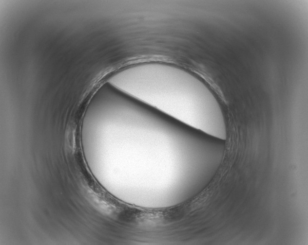 X0000080190110200612081210