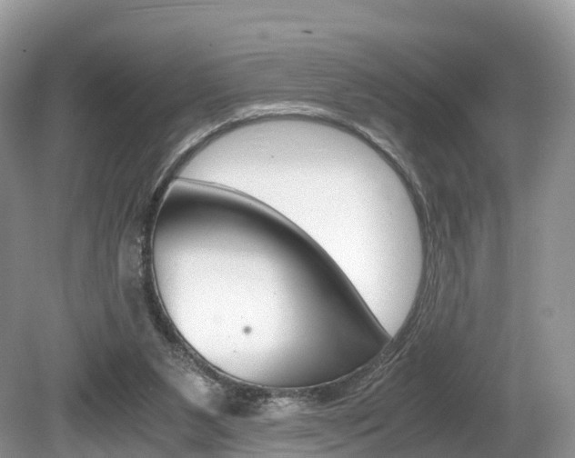 X0000080190111200612081210