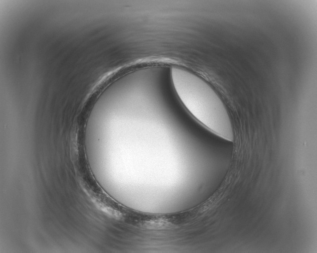 X0000080190112200612081210