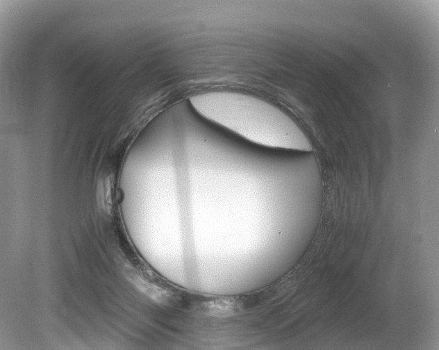 X0000080190118200612081210