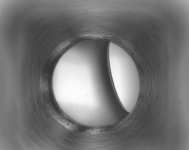 X0000080190120200612081210