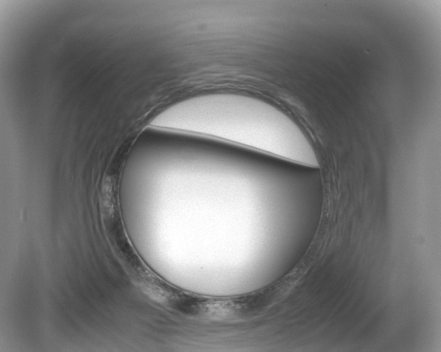 X0000080190121200612081210