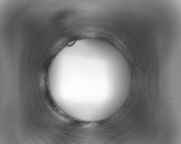 X0000080190122200612081210