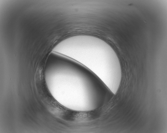 X0000080190123200612081210