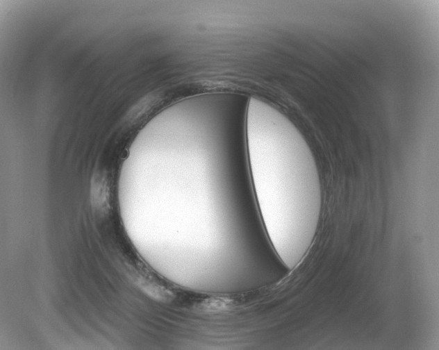 X0000080190124200612081210