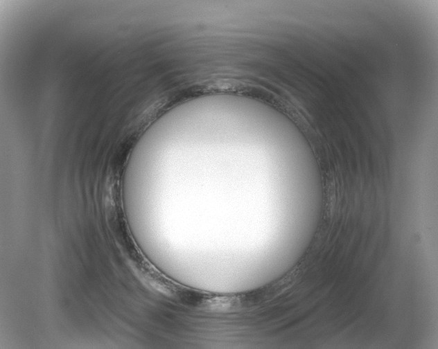 X0000080190126200612081210