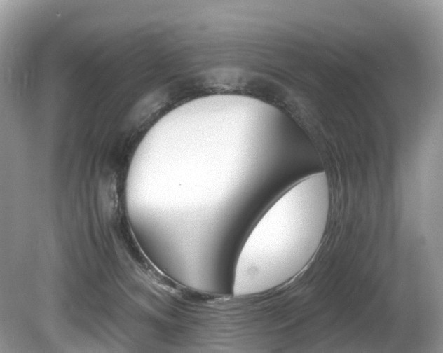 X0000080190128200612081210