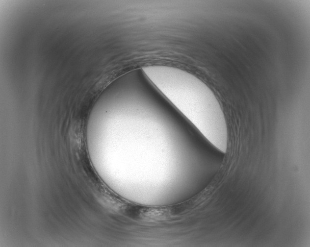 X0000080190129200612081210