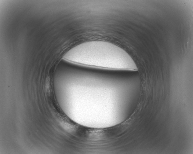 X0000080190132200612081210