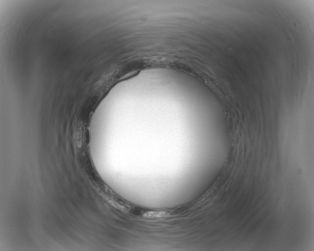 X0000080190133200612081210