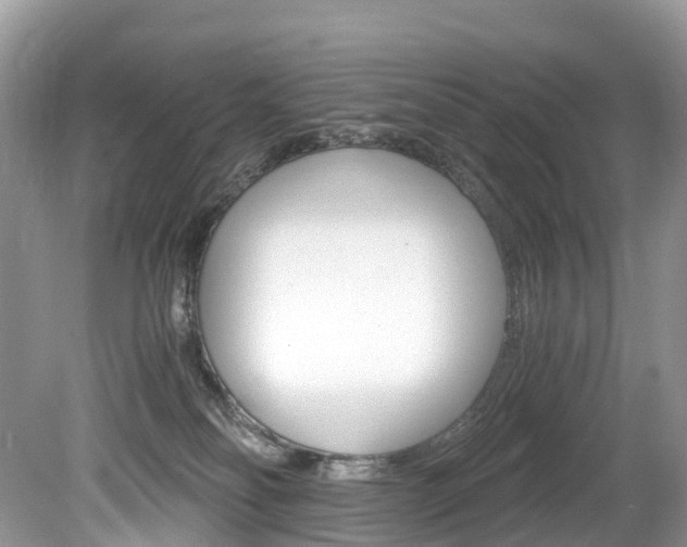 X0000080190134200612081210