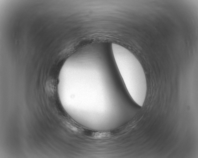 X0000080190135200612081210