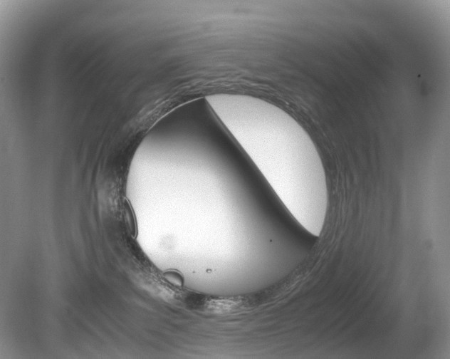 X0000080190139200612081210