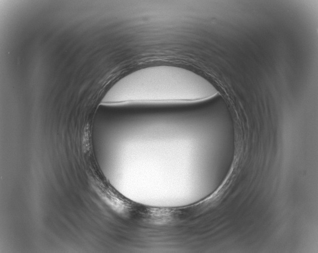 X0000080190144200612081210