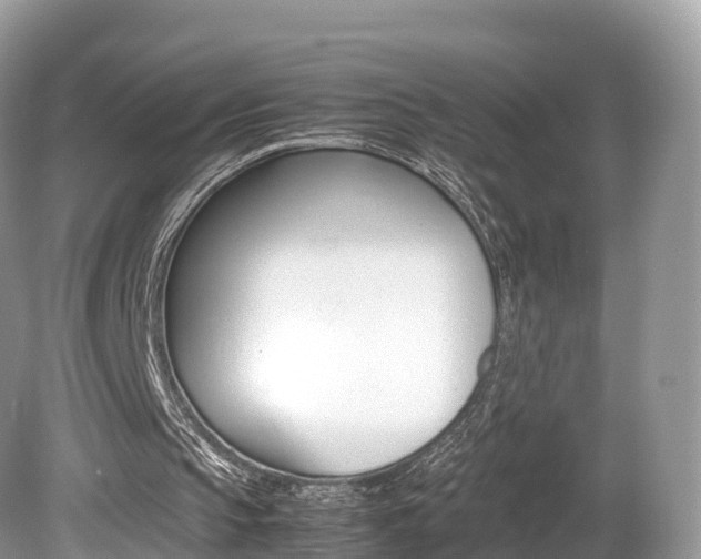 X0000080190145200612081209