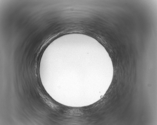 X0000080190146200612081209