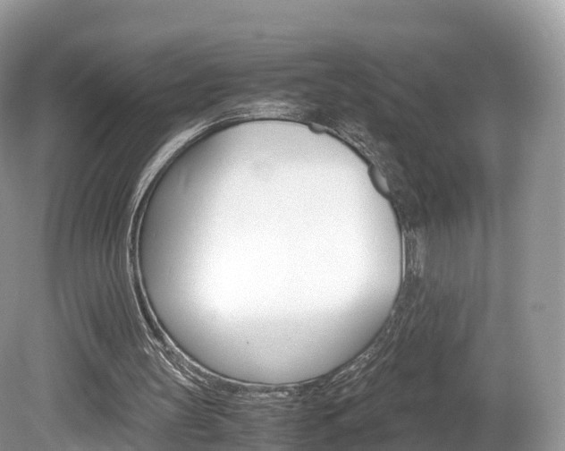 X0000080190147200612081209