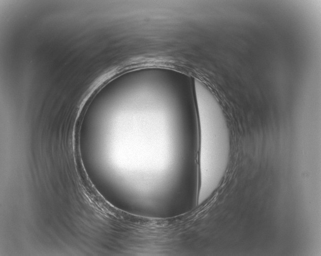X0000080190148200612081209
