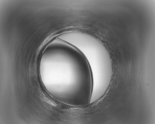X0000080190150200612081209