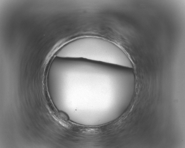 X0000080190151200612081209