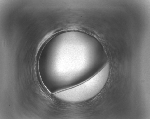 X0000080190152200612081209