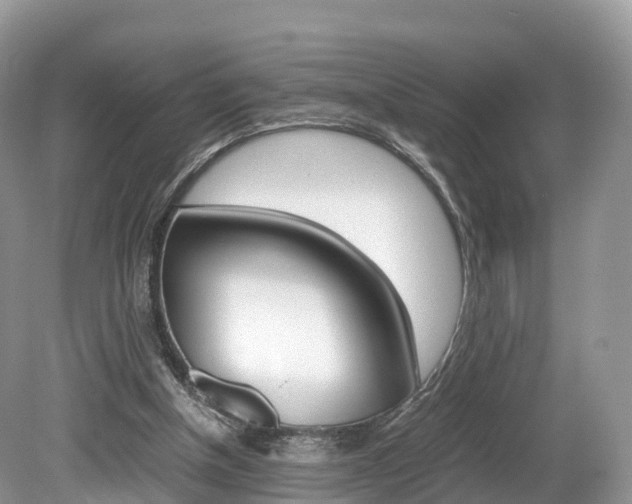 X0000080190154200612081209