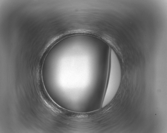 X0000080190156200612081209