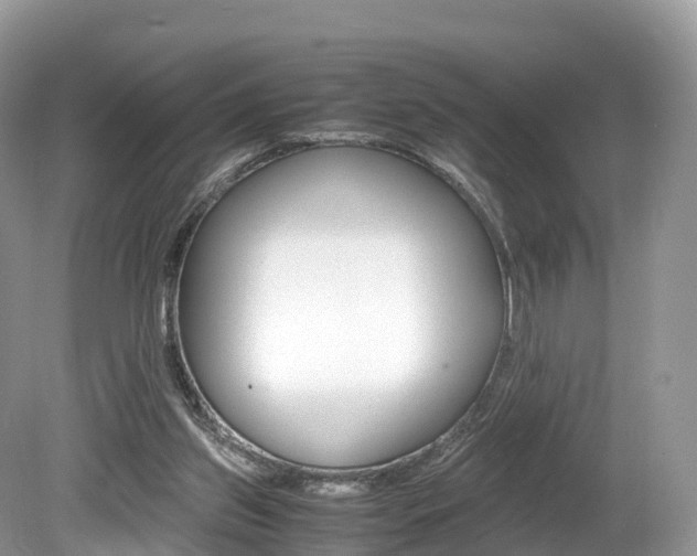 X0000080190157200612081209