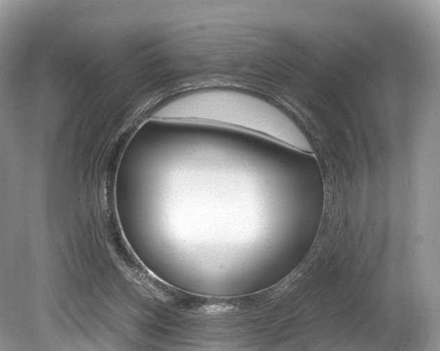 X0000080190158200612081209