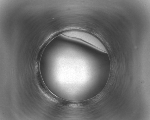 X0000080190160200612081209