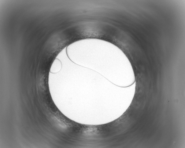 X0000080190162200612081209