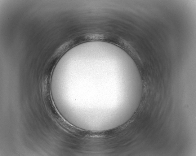 X0000080190163200612081209
