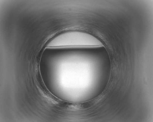 X0000080190164200612081209