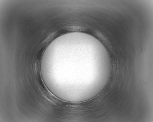 X0000080190165200612081209
